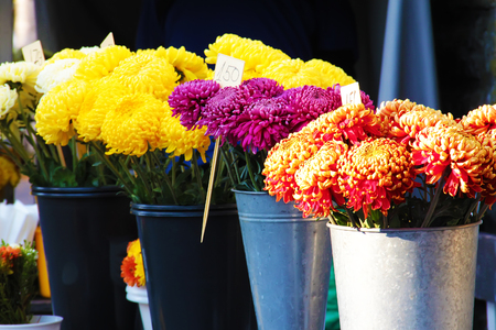 Street market stand selling beautiful colorful flowersの写真素材