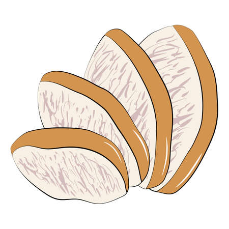 Slices of sliced fried or smoked chicken are spread out by a fan. Ingredient for ramen noodle soup. Textured vector illustration on a white backgroundのイラスト素材