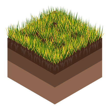 Lawn care - aeration and scarification. Labels by stage-before. Intake of substances-water, oxygen, and nutrients to feed the grass and soil. Vector isometric illustration isolatedのイラスト素材