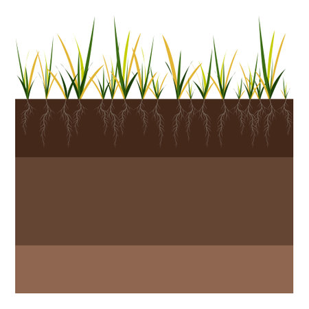 Lawn care - aeration and scarification. Labels by stage-before. Intake of substances-water, oxygen, and nutrients to feed the grass and soil. Vector flat illustration isolatedのイラスト素材