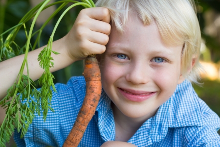 Cute child outdoors holding an organic carrot from his garden.の写真素材