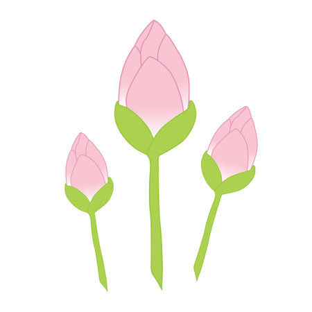 pink flowers icon over white background. colorful design. vector illustrationのイラスト素材