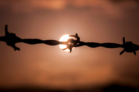 Barbed wire at sunsetの写真素材