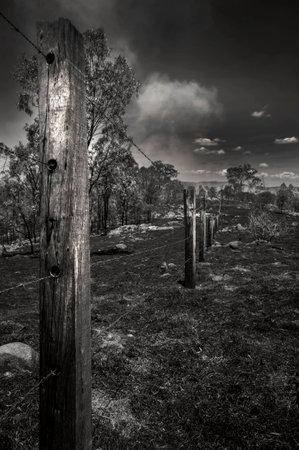 Aftermath of a fire in outback queenslandの写真素材