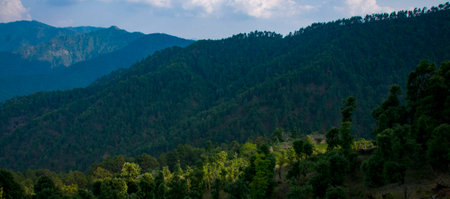 View of the mountains in Almoraの写真素材