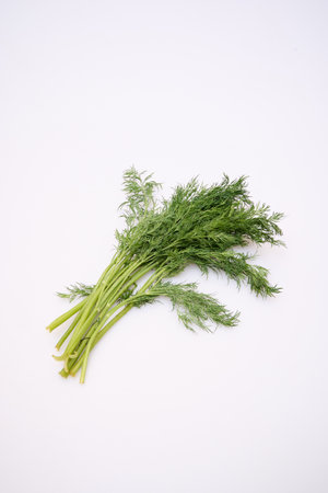 fresh green dill on a white backgroundの写真素材