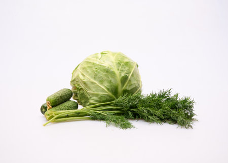 fresh green cabbage with cucumbers and dill on a white backgroundの写真素材