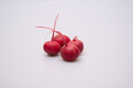 fresh radish on a white backgroundの写真素材