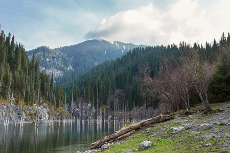 The mountain lake with trees insideの写真素材