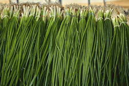 Leaf of Green Onion, Spring Onion, Scallionの写真素材