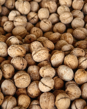 Pile of Natural Walnuts in shell. Background / textureの写真素材