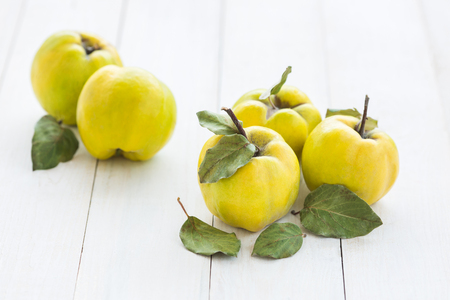 Quince fruits on a white wooden background. Quince fruits.の写真素材