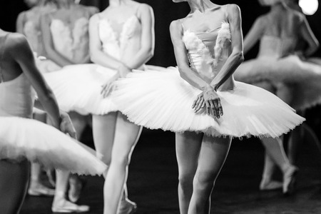 Ballet swan lake. Hands of ballerinas. Ballet statement. Great ballerinas. Ballerinas in the movement.の写真素材