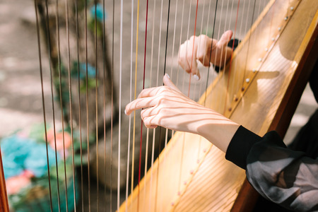 Hands of the woman playing a harp. Symphonic orchestra. Harpist close up.の素材 [FY31065645968]