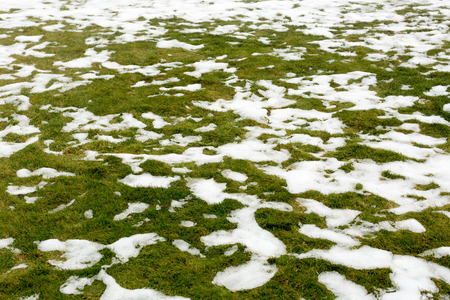Snow on a grass. Spring in mountains.の写真素材