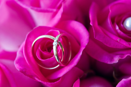 gold wedding rings on petals of roses.の写真素材