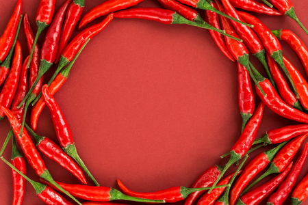 red hot chili peppers, popular spices concept - red hot chili peppers pods in beautiful circle composition of a colorful area on red background, top view, flat lay, free space for textの写真素材