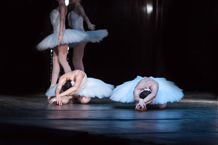 dancing, agility, beauty concept. thin and adorable female ballet dancers dressed in shiny white...