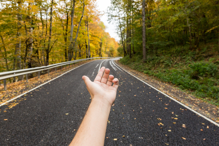 autumn, travelling, purposefulness concept. there is outstretched hand of caucasian man that is pointing in the direction of the road, it is running through the wood with green and yellow teesの写真素材
