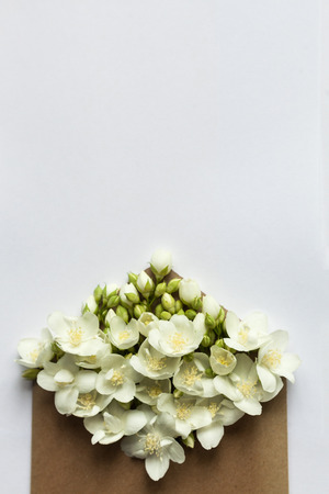 Sprigs of jasmine in postal envelope on white background. copy space. spring mood. mother's day. space for the text. The inscription on the letter -happy. Top view. Flat lay.の写真素材
