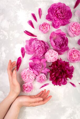 Overhead view of pink peonies in woman's hand on white background. Creative flat lay flowers concept, top view of pink peonies and petals flying out of the woman's hand on light background, greeting card. Woman holding handful of rose flowers. Women's Day. Feminine background.の写真素材