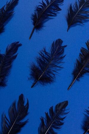 From above worn dark feathers placed in order on blue background