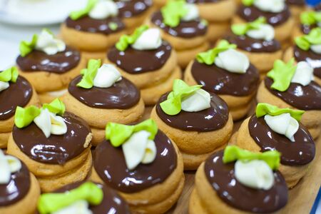 Production of pralines at confectionary factory. Food industral cake line - conveyor belt with...