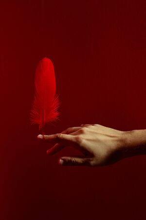 Crop tender hand balancing weightless crimson feather on finger against bright red backgroundの写真素材