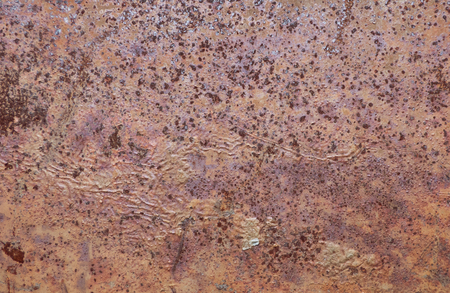 Brown rusty metal texture with small dark dots. Steam punk industrial background. Aged steel board...