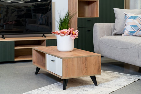 Modern Living Room with Wooden Coffee Table and Decorの写真素材