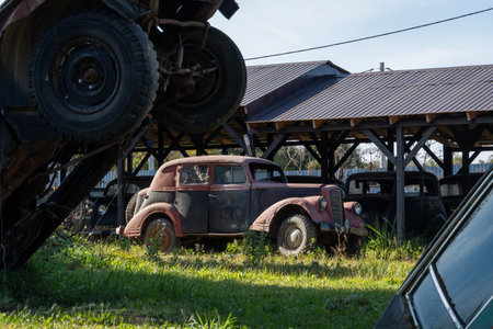 Abandoned Vintage Cars in Rustic Outdoor Settingの写真素材