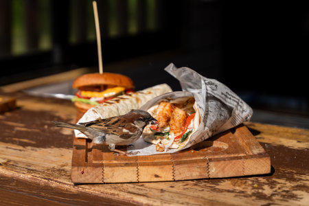 Sparrow Eating Street Food Wrap on Wooden Tableの写真素材