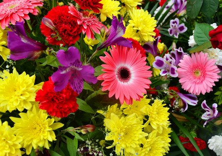 Abstract background of flowers. Close-up.の写真素材