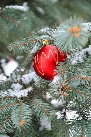 Christmas ornaments on the Christmas treeの写真素材