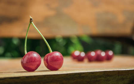 Two tasty fresh red ripe cherries on wooden surface with a copy empty space for text. Red berries....