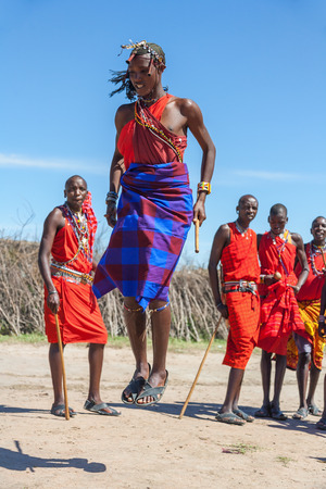 MASAI MARA,KENYA, AFRICA- FEB 12: Masai warriors dancing traditional jumps as cultural ceremony,review of daily life of local people,near to Masai Mara National Park Reserve, Feb 12, 2010,Kenyaのeditorial素材