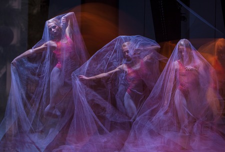 a sensual and emotional dance of beautiful ballerina through the veil on a dark backgroundの写真素材