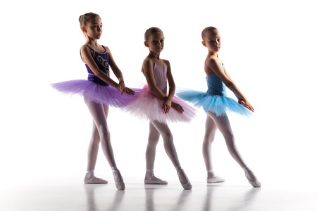 The silhouettes of little ballerinas in dance studio posing on a white backgroundの写真素材