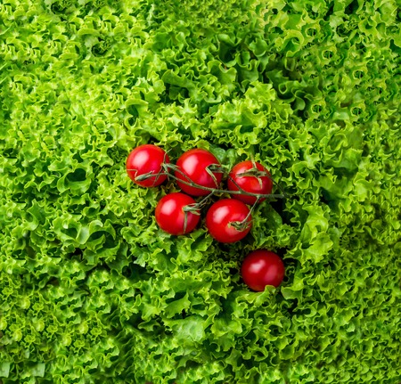 lettuce salad  and red cherry tomatoes on a gray wood backgroundの写真素材