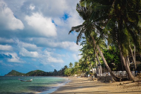 The tropical beach with coconut palm trees. Koh Samui, Thailandの写真素材