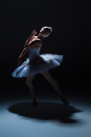silhouette of the ballerina  in the role of a white swan on dack backgroundの写真素材