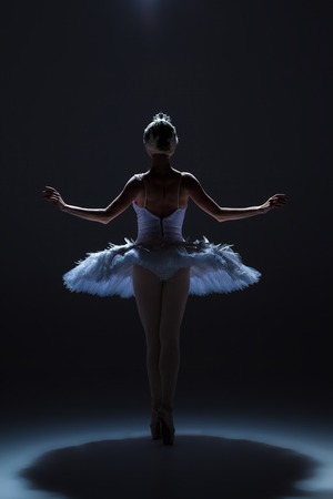 silhouette of the ballerina  in the role of a white swan on dack backgroundの写真素材