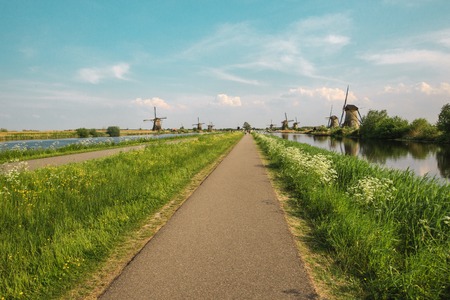 Traditional Dutch windmills with green grass in foreground, The Netherlandsの写真素材