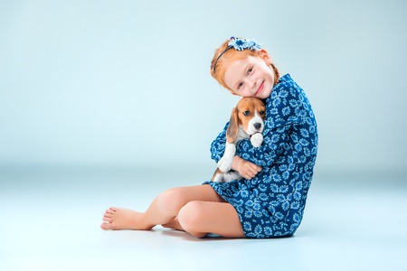The happy girl and beagle puppie on gray backgroundの写真素材