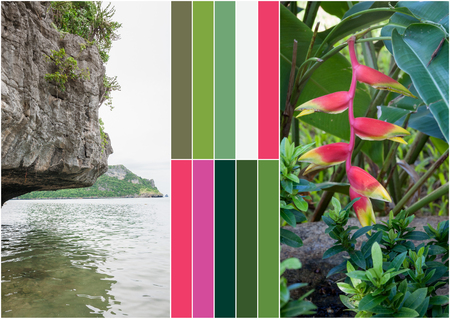 Beach on tropical island. Flowers. Collageの写真素材