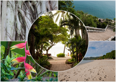 Beach on the tropical island. Thailand. Flowers. Collageの写真素材