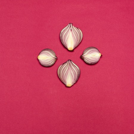 Red onion on a red background