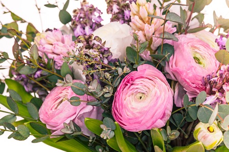 Ranunkulyus bouquet of red flowers on a white backgroundの写真素材