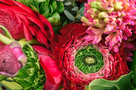 Ranunkulyus bouquet of red flowers on a white background
