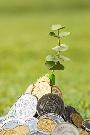 Coins on grassの写真素材